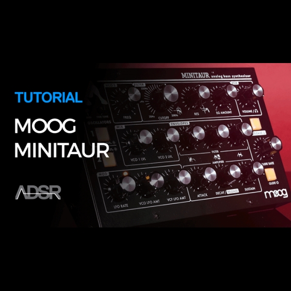 Working With Moog Minitaur - Moog Minitaur - ADSR Courses