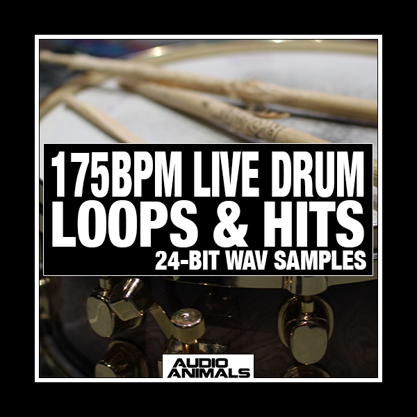 Drum store loops hd