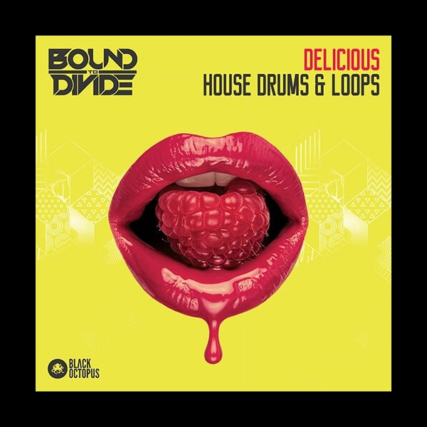 Delicious House Drums And Loops Black Octopus Samples And Loops Adsr