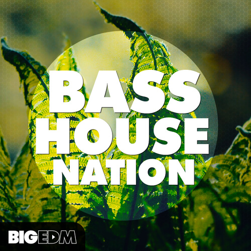 Pumped Serum Bass House Essentials