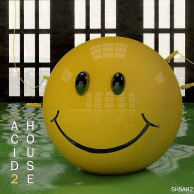 Acid House 2