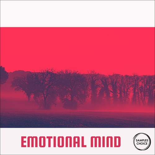 Emotional Mind