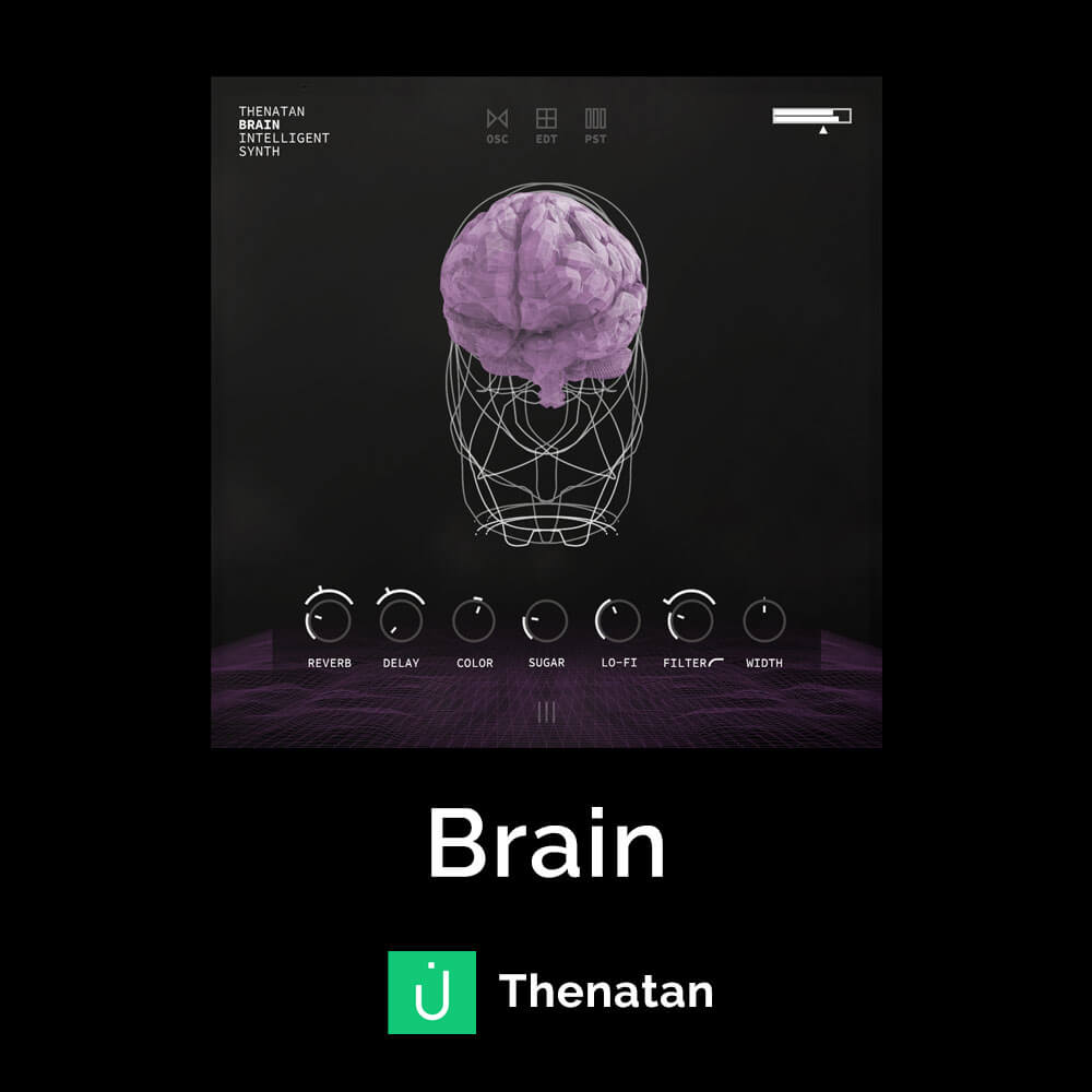 Brain