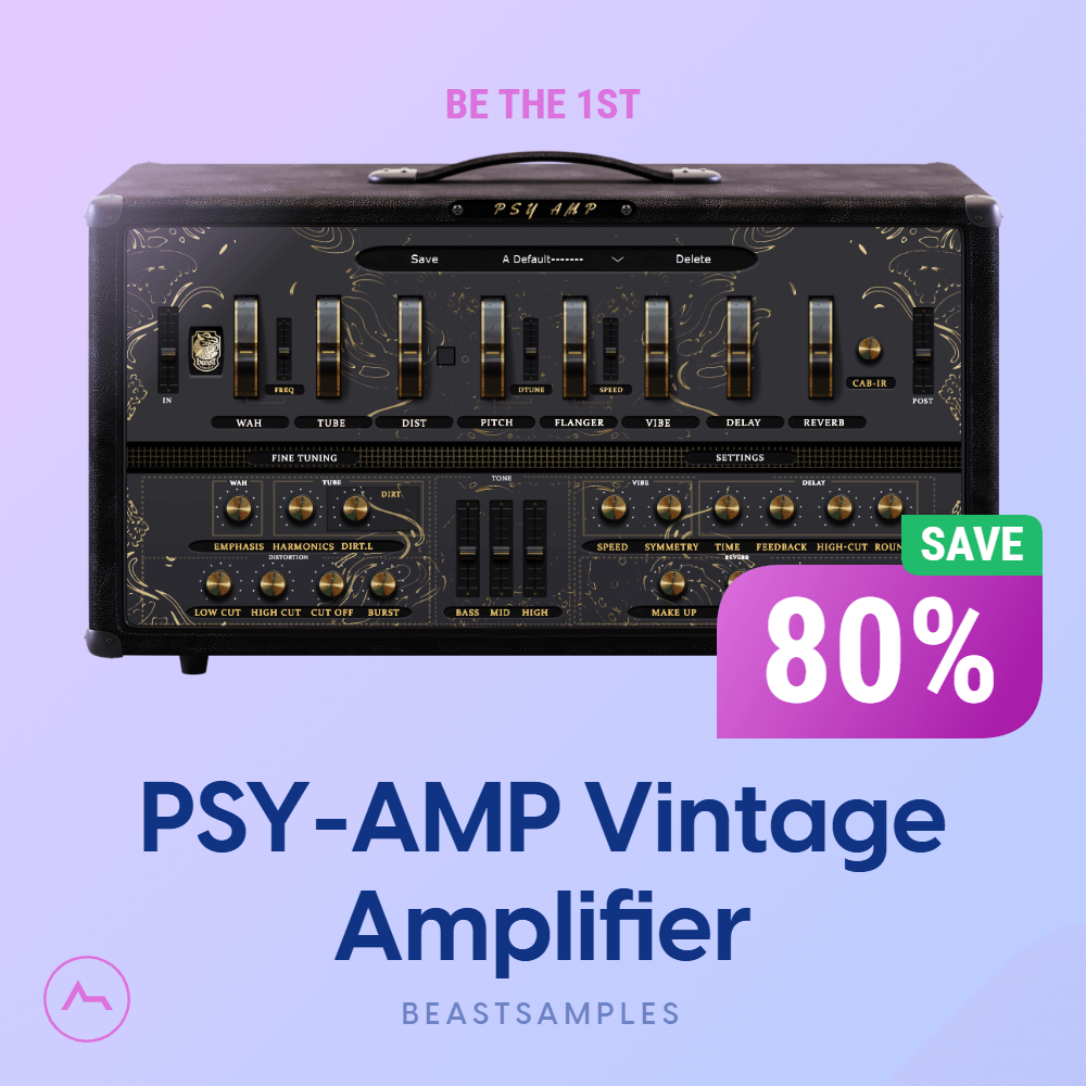 PSY-AMP Vintage Amplifier