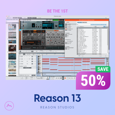 Finally Pick Up Reason 13! You Owe It to Yourself!