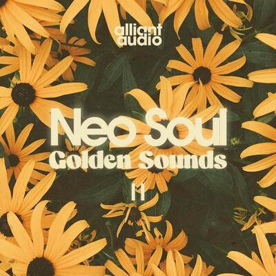 Neo Soul Golden Sounds Vol.2