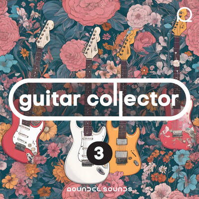 Guitar Collector 3