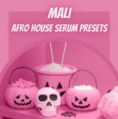 Mali - Afro House Serum Presets