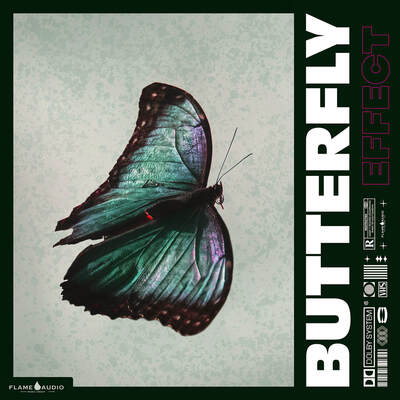 BUTTERFLY EFFECT