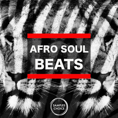 Afro Soul Beats