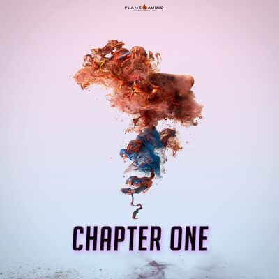 CHAPTER ONE