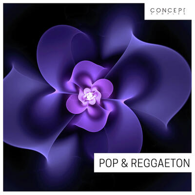 Pop & Reggaeton